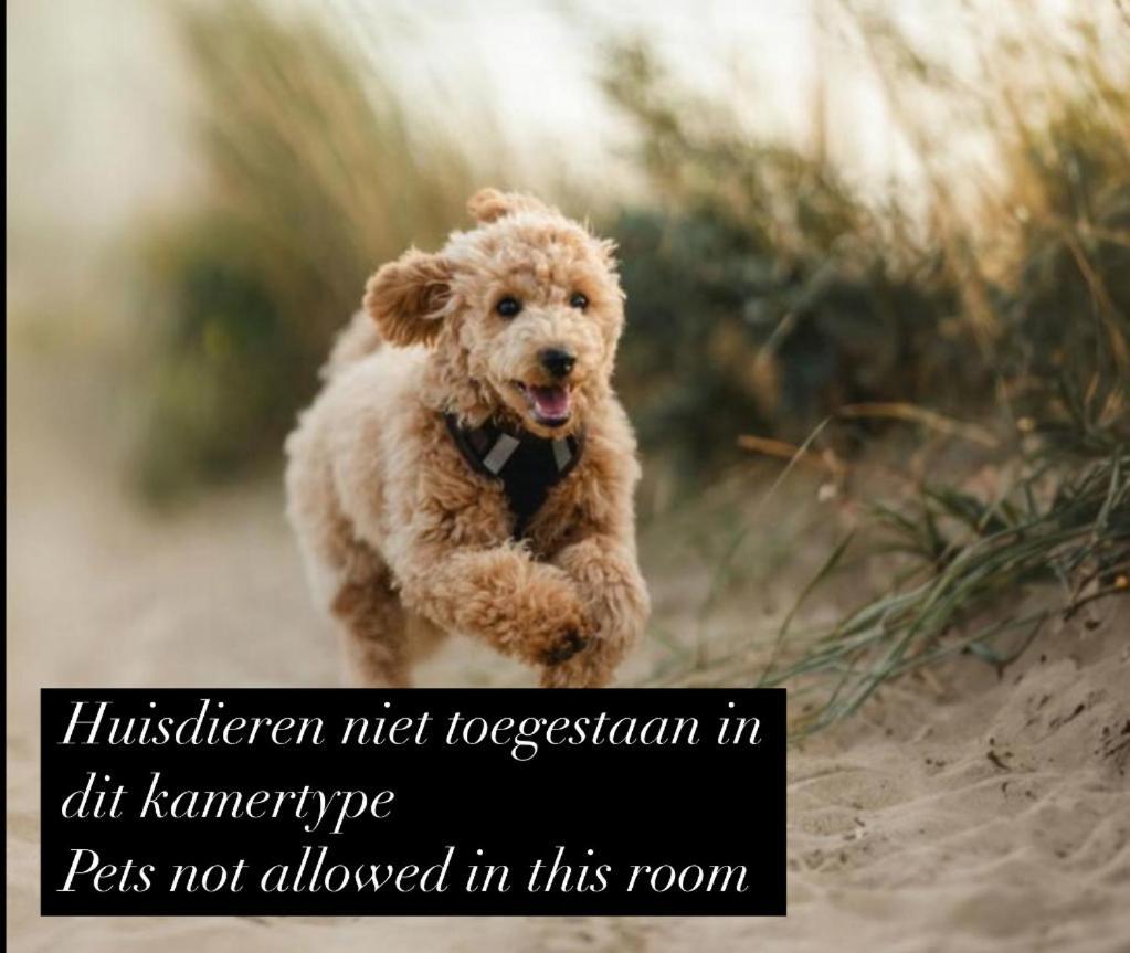 Eilandhotel Texel เดอค็อกส์ดอร์ป ภายนอก รูปภาพ A sign in a Dutch hotel room